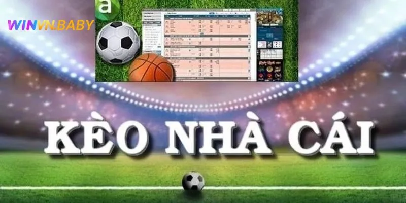 Dự đoán bóng đá bằng tỷ lệ chấp